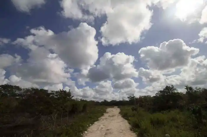 ¡Oportunidad! Casas y terrenos con financiamiento en Valladolid