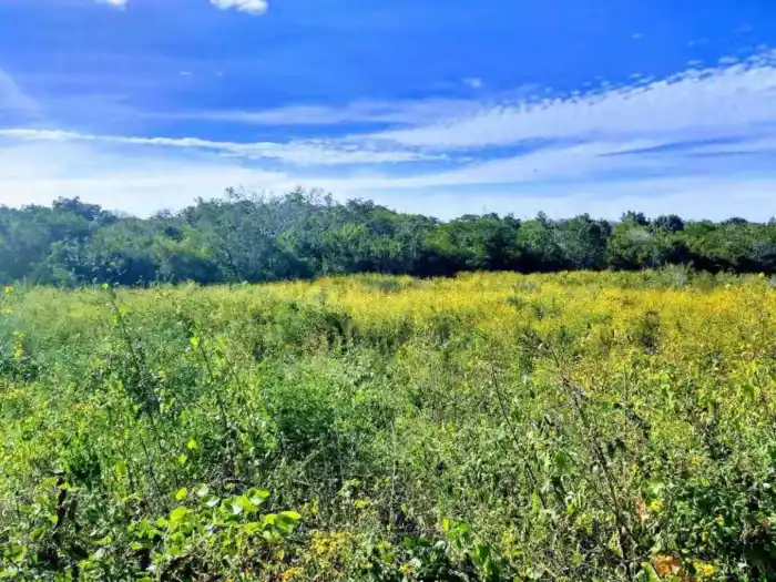 3 Advantages of owning a ranch or country home in Valladolid Yucatan