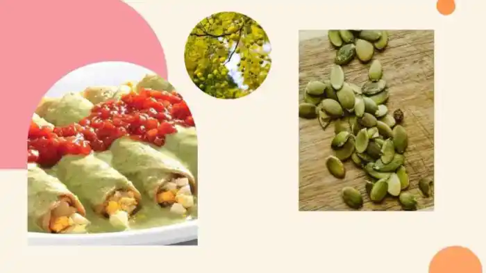 ¿Cómo hacer los papadzules Tradicionales?