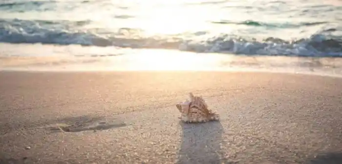 Viajar a la Playa El Cuyo desde Valladolid