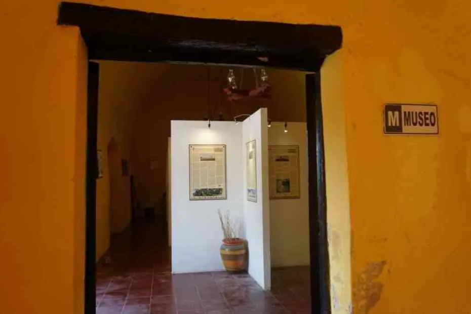 Rescate arqueológico en Cenote Sis-Ha.