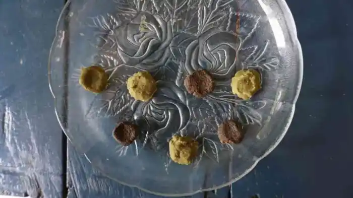 ¿Qué es el recado yucateco?