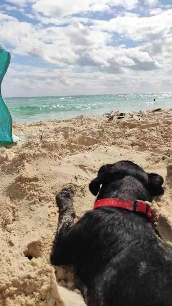 Valladolid, la mejor opción para tu retiro 