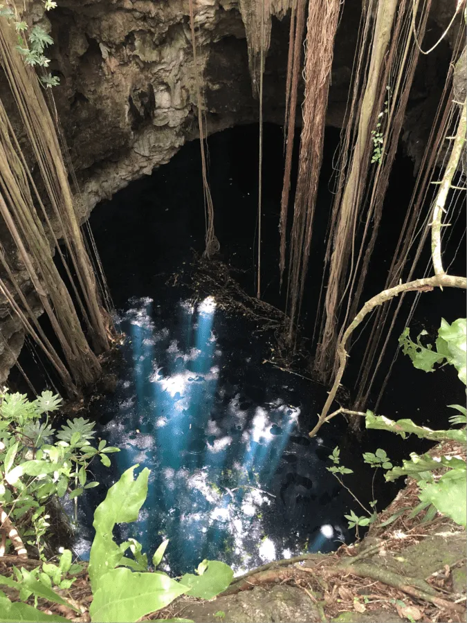 10 hectáreas con cenote y monte alto