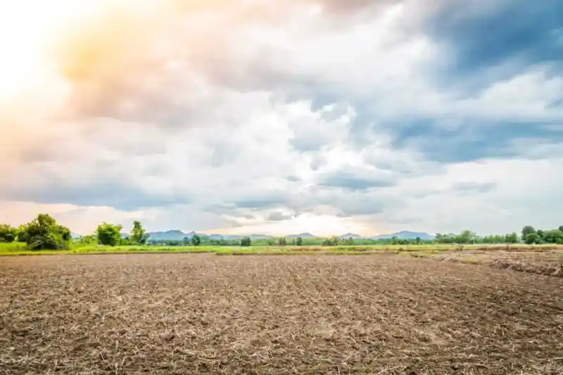 Towns in Yucatan to invest in land