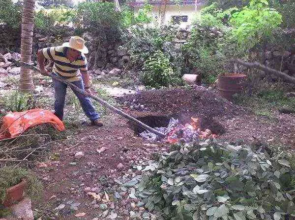 Descubre el Pib, tradición yucateca.