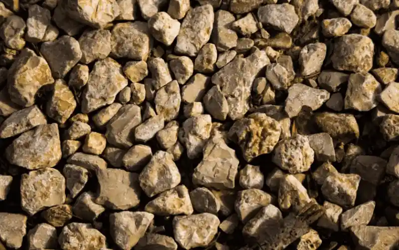 Albarrada de piedra caliza delimitando una propiedad en Yucatán