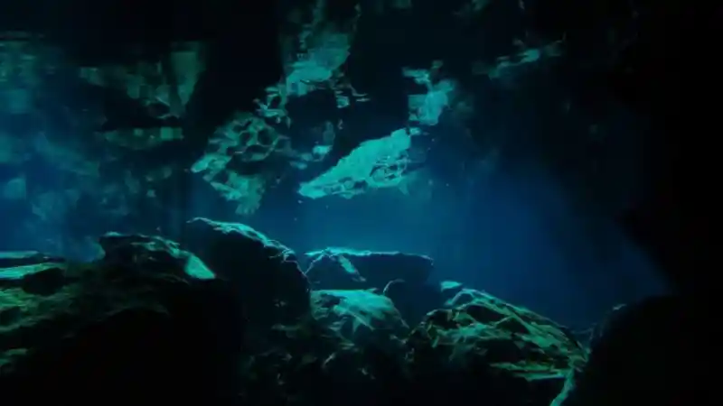 Cenote on rural land near Valladolid, Yucatán