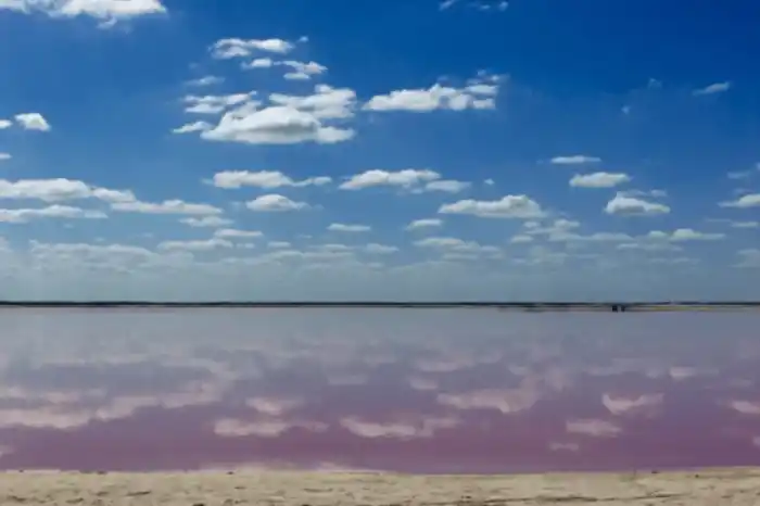 Day trip to Las Coloradas