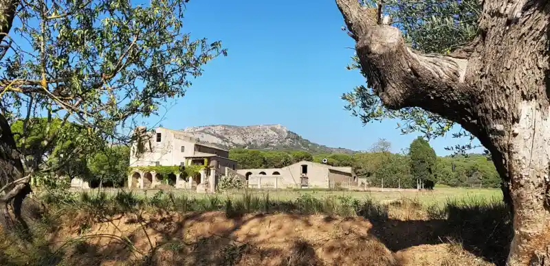 Finca campestre con árboles y espacio rural cerca de Valladolid