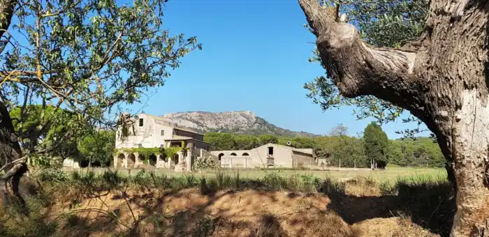 Encuentra la finca campestre de tus sueños
