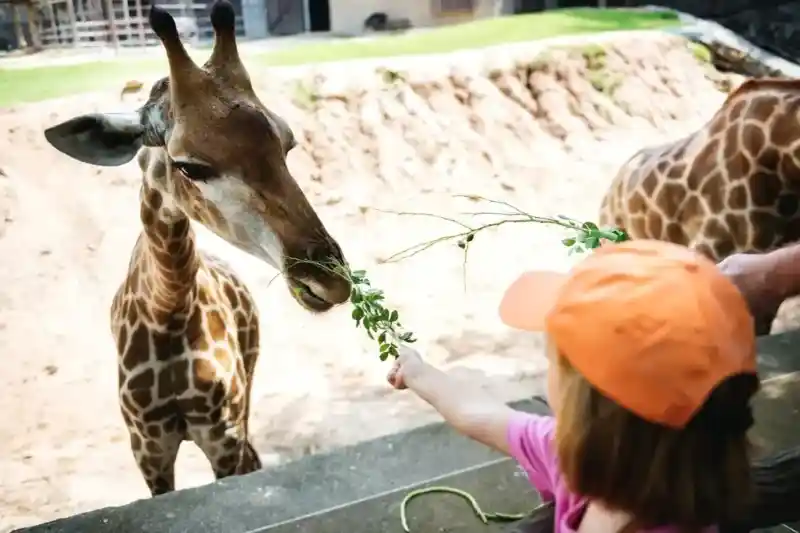 VallaZoo y Destilería Mayapán