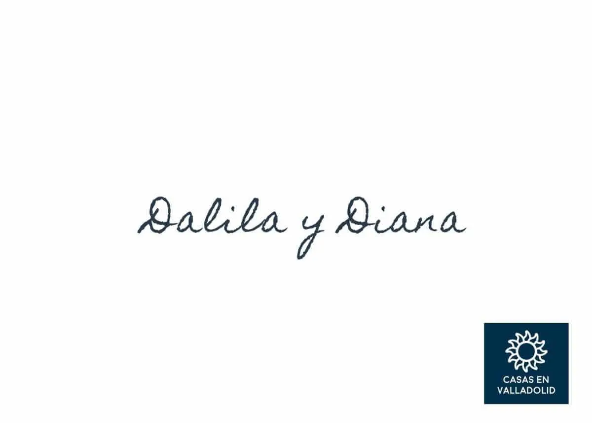 Finding an experienced realtor for foreigners — Casas en Valladolid