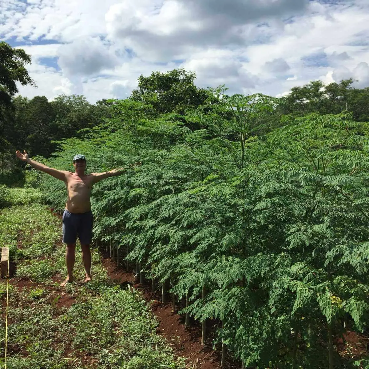Esteban Petersen - Gente de Valladolid