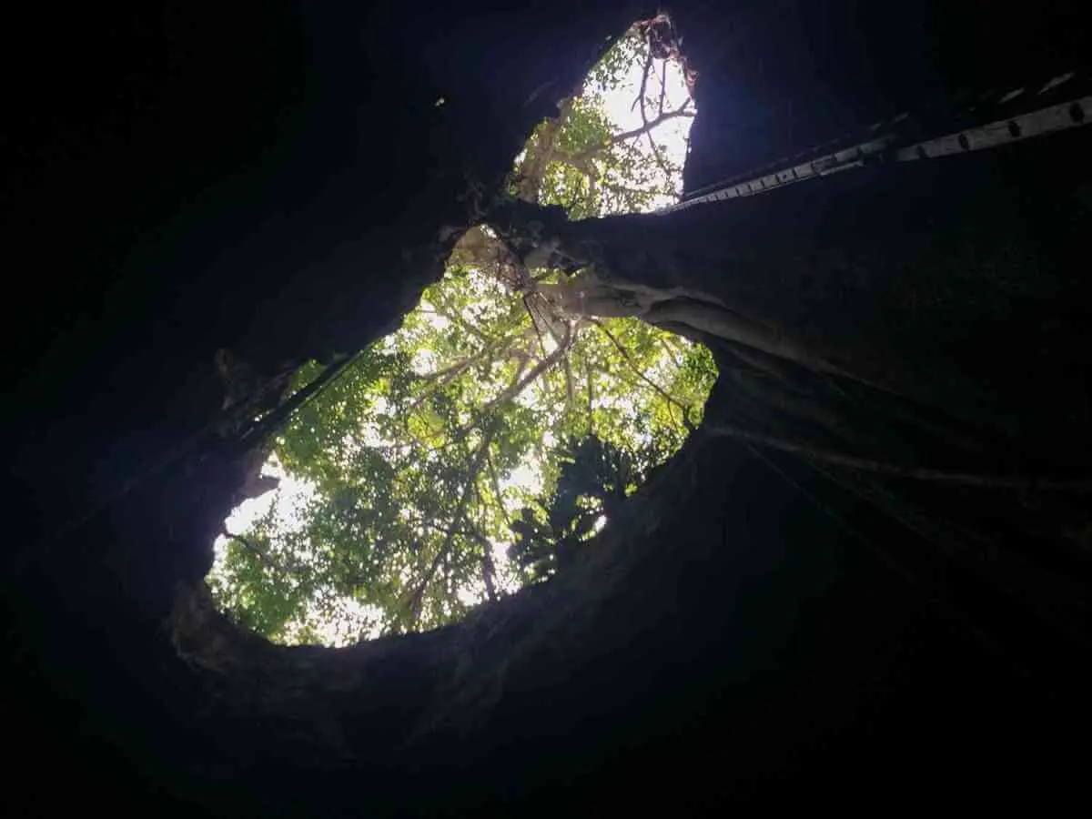 Prepárate para visitar cenotes en venta