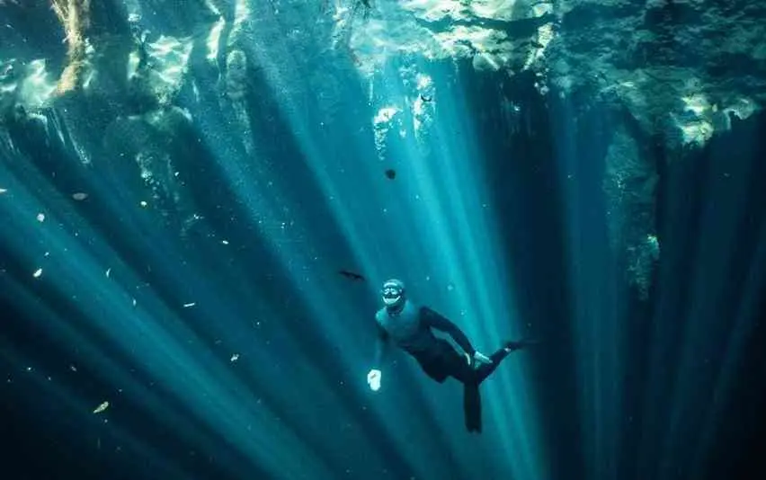 Lemus Freediving school