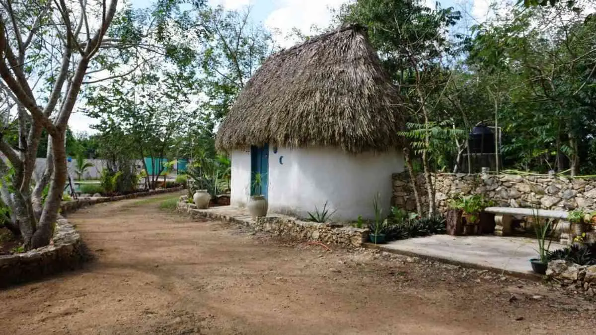 Visita Xkopek: Parque Apicola en Valladolid.