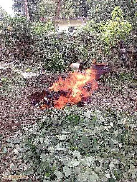 El Pib, horno yucateco.