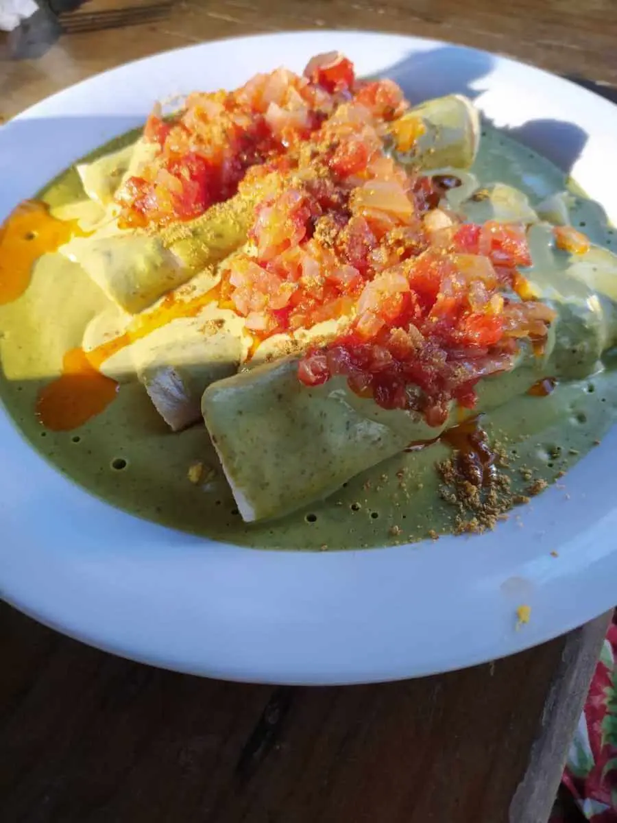 Papadzules- Vallamapa