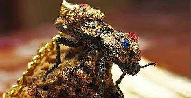 La leyenda del Maquech