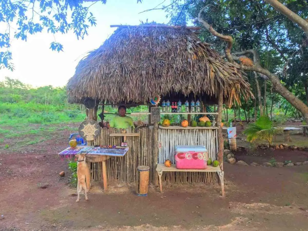 Los cocos fríos de Don Renato, en Valladolid.