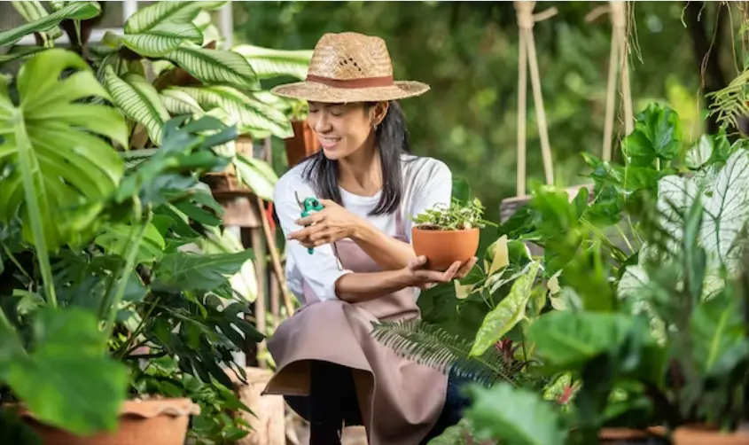 How to Make a Dream Home Garden in Valladolid — Casas en Valladolid
