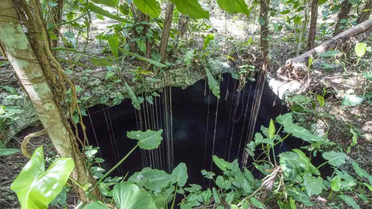 Prepárate para visitar cenotes en venta