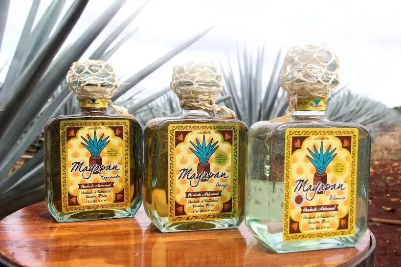 Mayapán