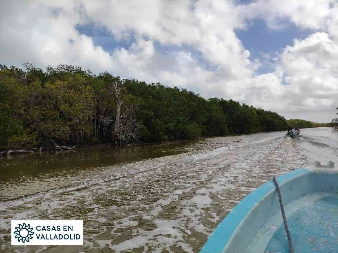 Una aventura de Valladolid a Río Lagartos y Las Coloradas.
