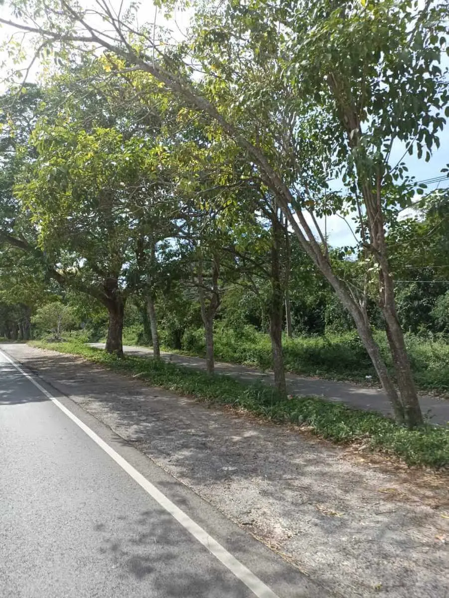 Kanxoc (K’anxok) pueblo de guerreros