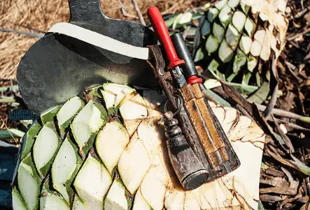 Herramientas para destilar agave