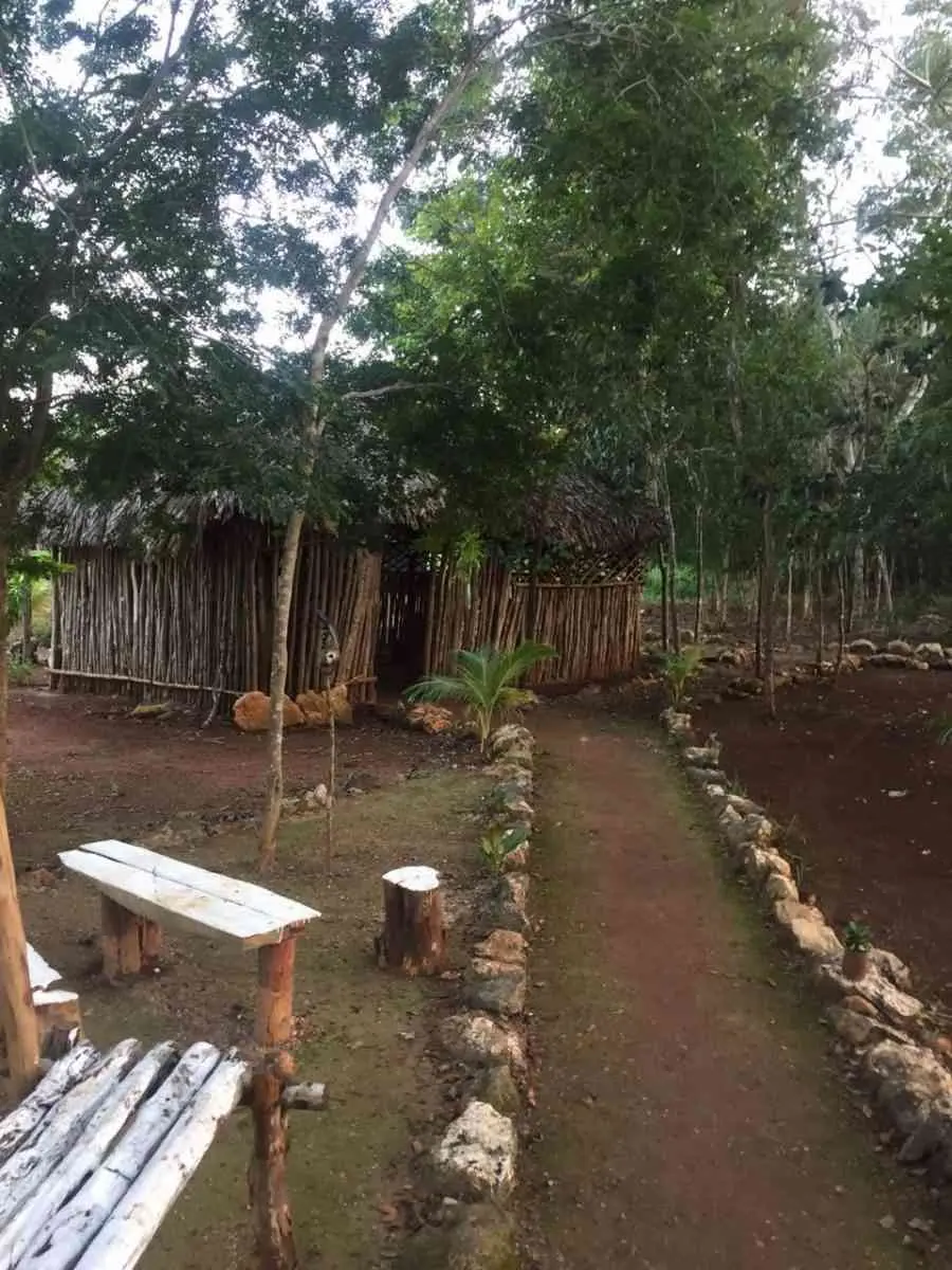 Los cocos fríos de Don Renato, en Valladolid. — Casas en Valladolid