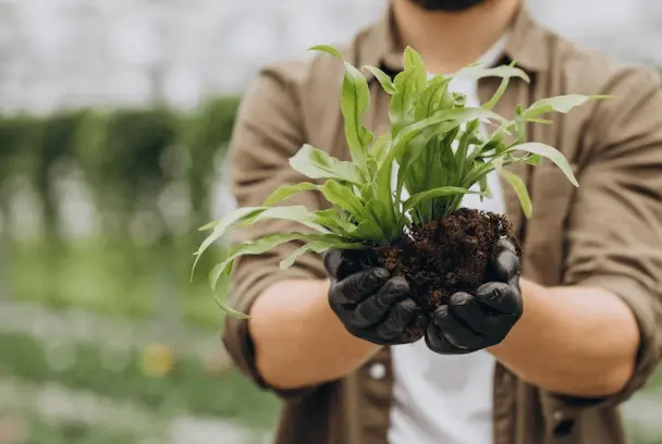 How to Make a Dream Home Garden in Valladolid — Casas en Valladolid
