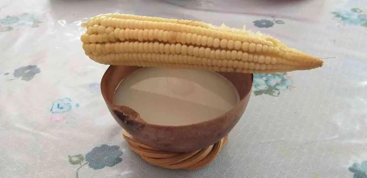 Atole Nuevo: bebida yucateca.
