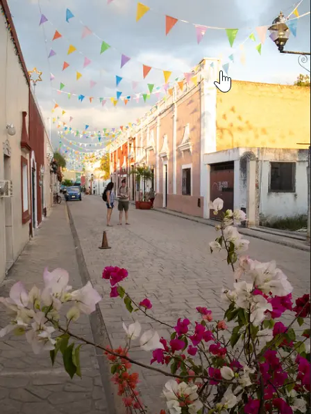 Tendencias Inmobiliarias Locales — Casas en Valladolid