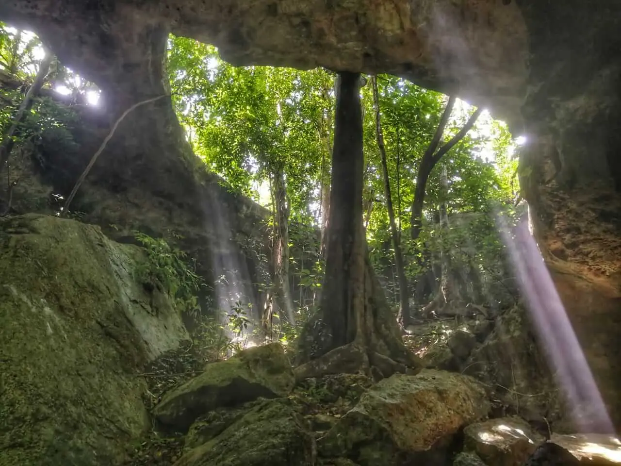 Cenotes en venta cerca de Valladolid Yucatán