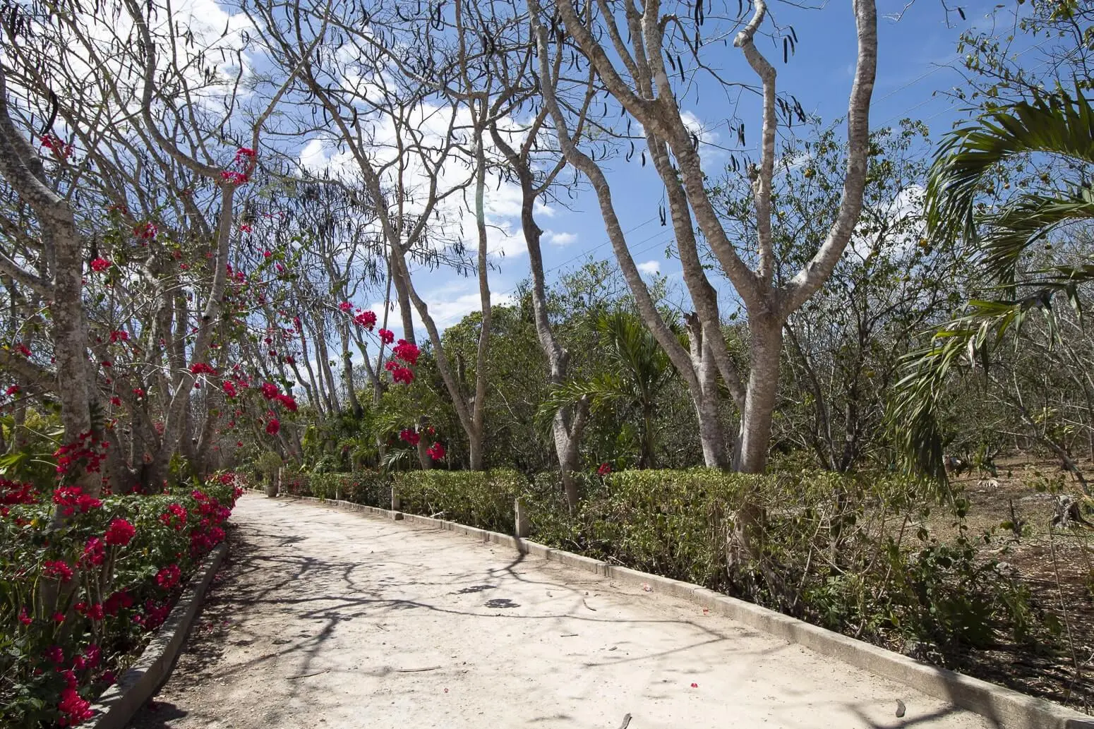 Propiedades Campestres en Valladolid, Yucatán