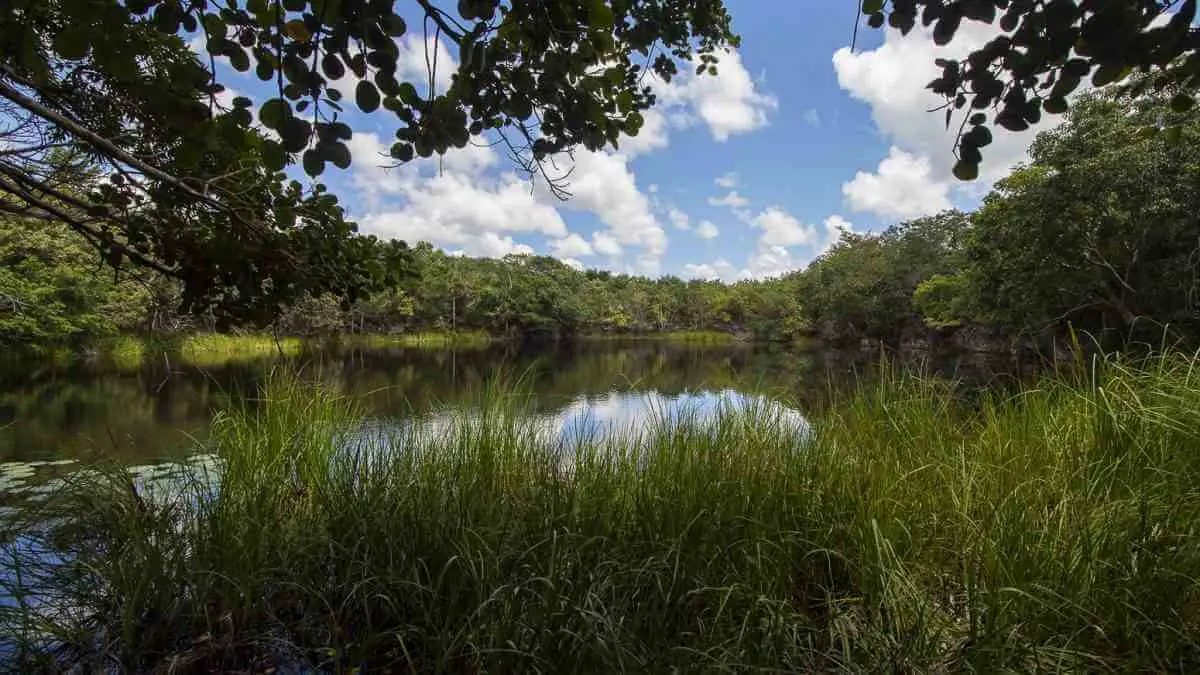 Prepárate para visitar cenotes en venta