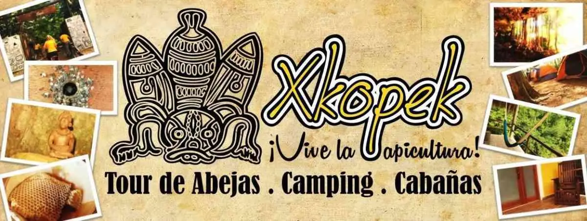 Visita Xkopek: Parque Apicola en Valladolid.