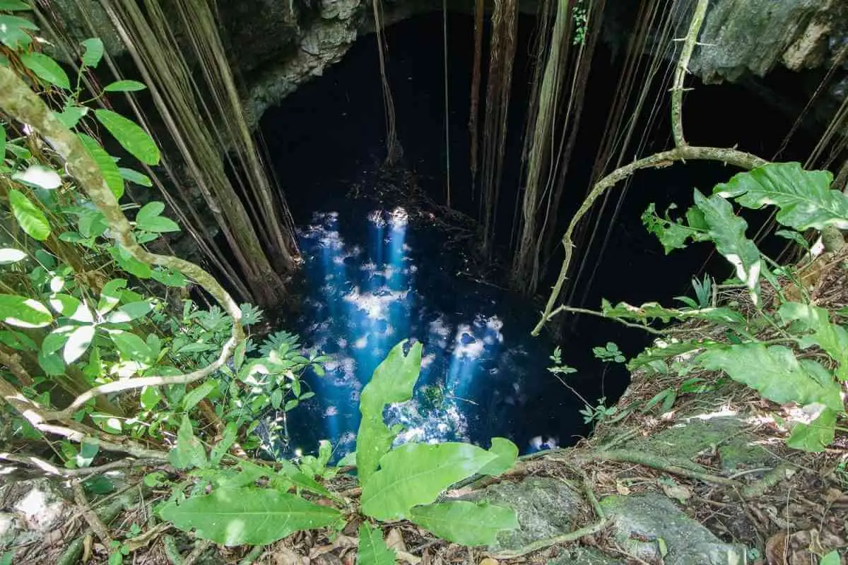 Cenotes en venta cerca de Valladolid Yucatán