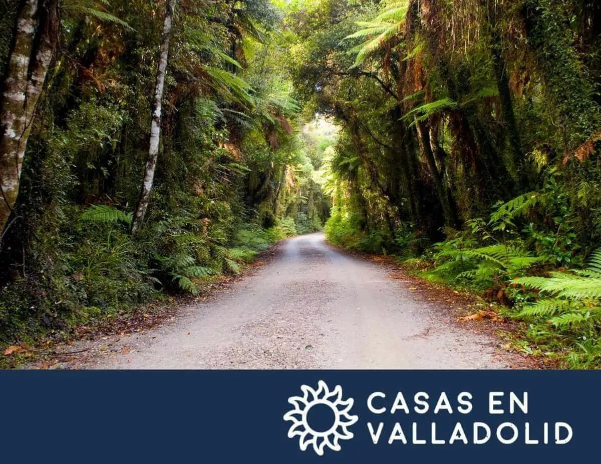 Terrenos baratos Valladolid Yucatán