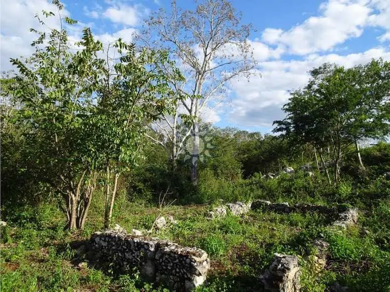 Terreno para invertir en Yucatán