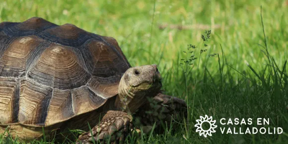 ¿Trámites de Catastro en Yucatán?