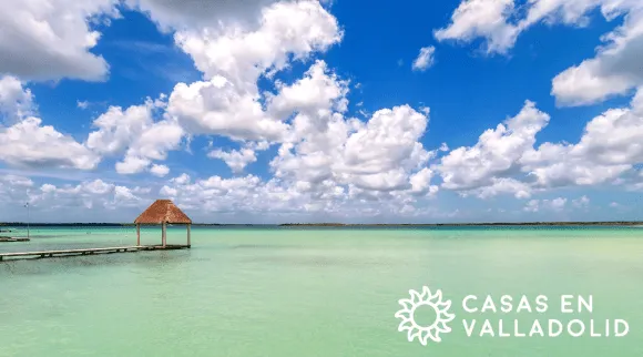 Explorando Punta Laguna: Un Escape Natural Cerca de Valladolid