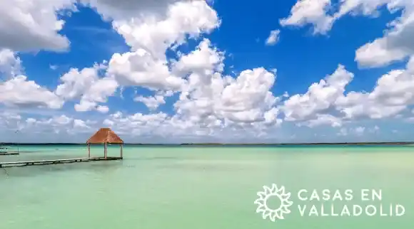 Explorando Punta Laguna: Un Escape Natural Cerca de Valladolid