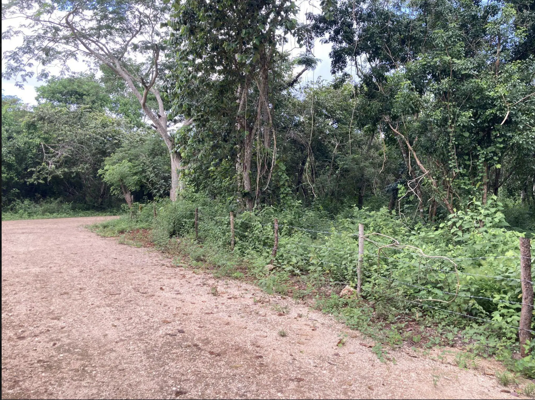 Terrenos baratos en Valladolid, Yucatán — Casas en Valladolid